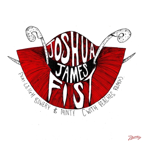 Minty, Joshua James, Leigh Bowery - Fist feat. Leigh Bowery & Minty [PH115D]